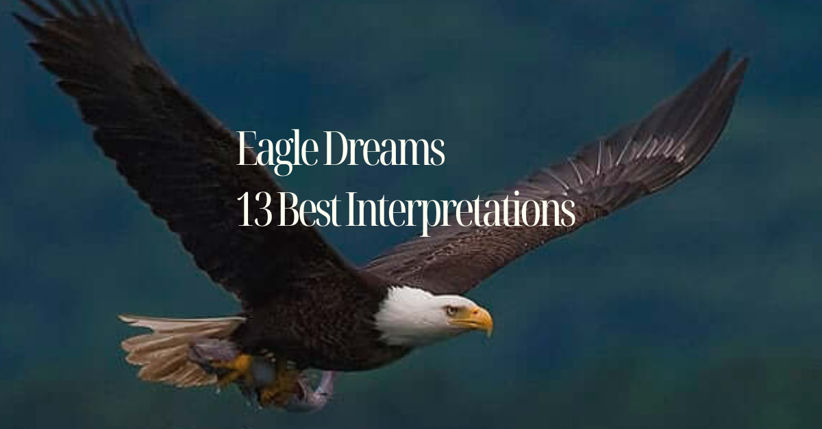Eagle Dreams : 13 Best Interpretations